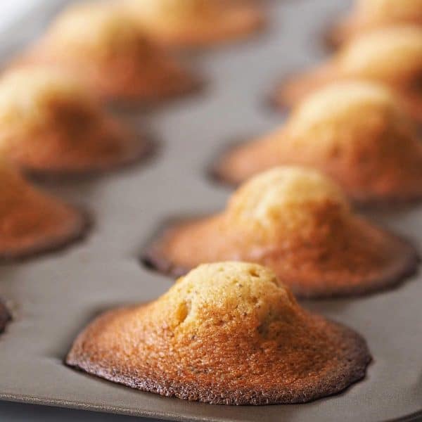 Madeleines dorées à la sortie du four dans leur moule en coquille, avec une bosse bien formée